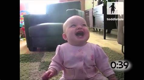 Babies Laughing at Dogs - YouTube