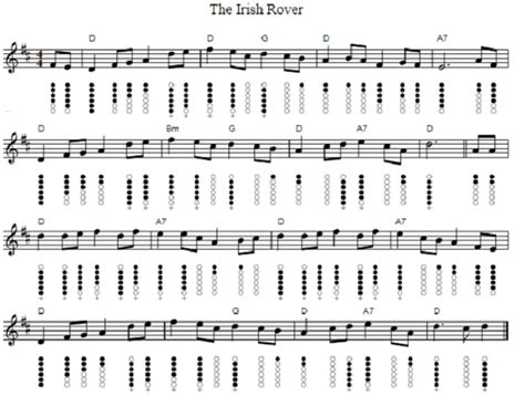 The Irish Rover Tin Whistle Sheet Music - Irish folk songs