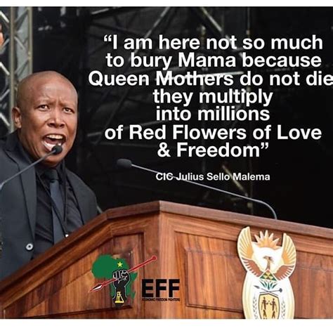 √ Malema Quotes : In Quotes Julius Malema On Land Corruption And Media Freedom : Last updated on ...