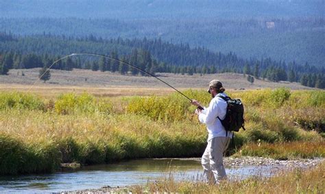 Yellowstone National Park Fishing Guides & Fly Shops - AllTrips