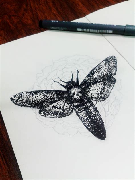 Sphinx Moth on Behance