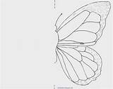 26 Best Ideas For Coloring Butterfly Symmetry Workshe  Vrogueco sketch template