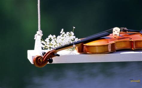 Beautiful Violin Wallpaper - WallpaperSafari