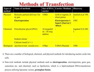 Transfection | PPT