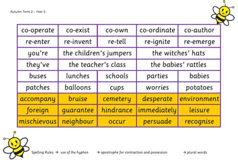 Year 5 Spelling Bee Mats | Teaching Resources