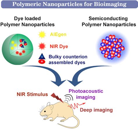 Recent Advances in Polymeric Nanoparticles for Enhanced Fluorescence and Photoacoustic Imaging ...