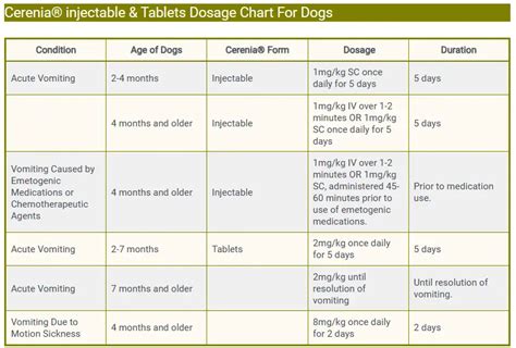 Cerenia Dosage For Dogs: Uses, Benefits & Side Effects