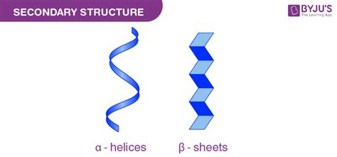 Alpha-Helix and Beta-Sheet - Introduction, Types and Differences between Alpha-Helix and Beta-Sheet