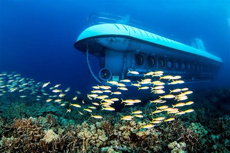 Atlantis Submarine from Kona Beach 2024 - Big Island of Hawaii