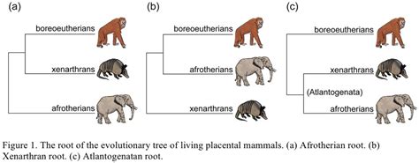 Science Visualized • DNA ANALYSIS and PREHISTORIC GEOGRAPHY...