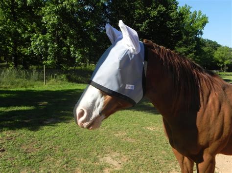 Nag Horse Ranch 90% UV proof eye protection shade with ears | Etsy