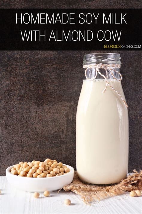 20 Easy Almond Cow Recipes To Make Your Own Milk and Drinks