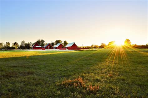 Campo De Hierba Verde Cerca De Casas · Foto de stock gratuita