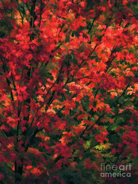 Autumn Foliage 6 Painting by Jeelan Clark