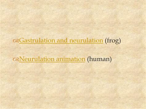 Human Gastrulation Animation