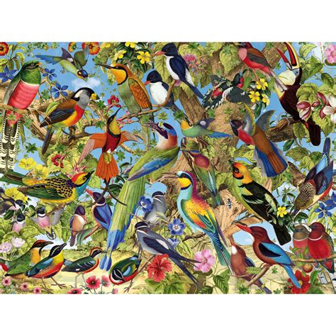 Fantastic Birds 500 Piece Jigsaw Puzzle | Bits and Pieces