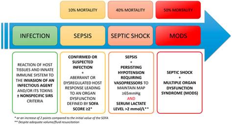 IJMS | Free Full-Text | Pathophysiology of Sepsis and Genesis of Septic Shock: The Critical Role ...