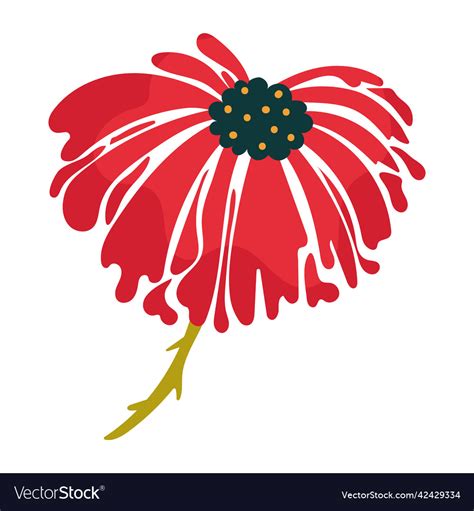 Aster Royalty Free Vector Image - VectorStock