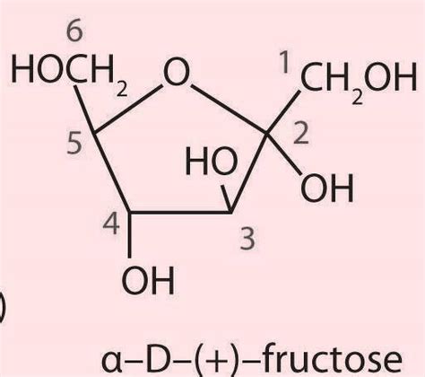 Is alfa or beta d fructose more stable - Chemistry - Biomolecules - 13709286 | Meritnation.com