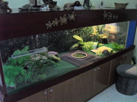 Large indoor tortoise habitat