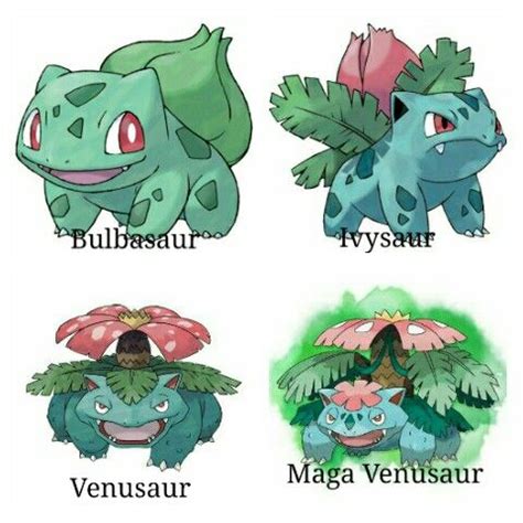 Bulbasaur Evolutions | Pokemon drawings, Evolution art, Pokemon bulbasaur