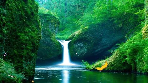 Green Waterfalls Screensaver - YouTube