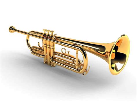 9 Different Types of Trumpets (Plus Interesting Facts)