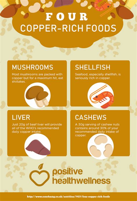 Four Copper-Rich Foods – Infographic – Positive Health Wellness