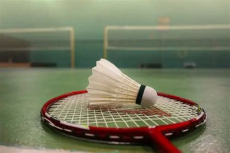 7 Best Badminton Racket Brands You Can Trust – Badminton Fanatiker