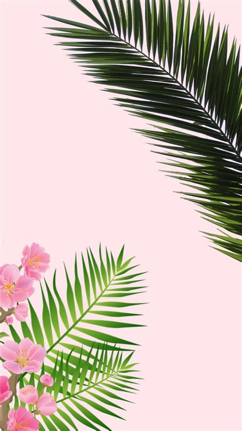 Pink Palm Tree Wallpapers - Top Free Pink Palm Tree Backgrounds - WallpaperAccess