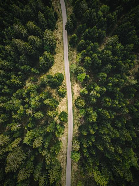 Road, forest, top view, trees, HD phone wallpaper | Peakpx