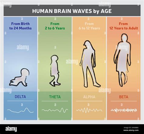 Human Brain Waves by Age Chart Diagram - People Silhouettes - English ...