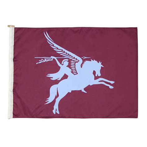 Pegasus Airborne Forces Flag - The Airborne Shop