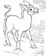 Dibujos De Burro Para Colorear E Imprimir– ColoringOnlyCom sketch template