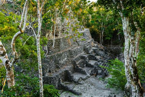 Long-hidden ruins of vast network of Maya cities could recast history ...