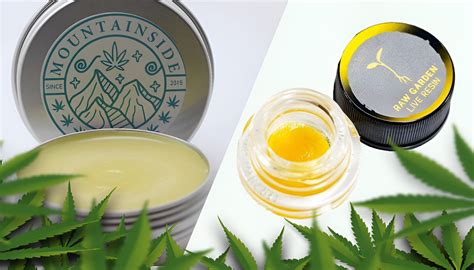 Understanding Full Spectrum CBD vs. Pure CBD Extract