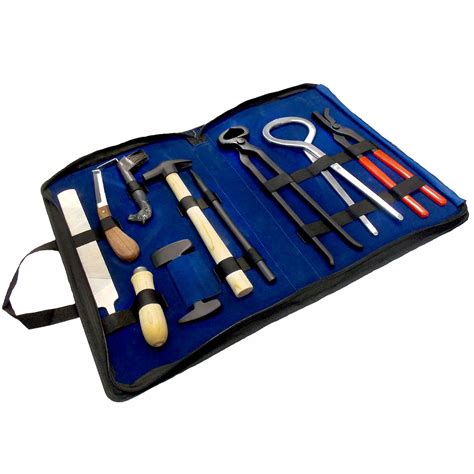 10-Piece Professional Farrier Tool Kit w/ Bag – IVS