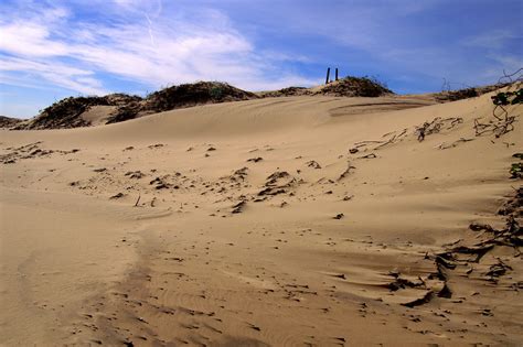 South Padre Sand Dunes | South Padre Island, Texas | Flickr