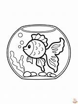 Aquarium Coloring Pages  Free Printable For Kids sketch template