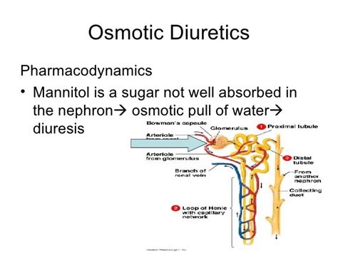 NurseReview.Org Pharmacology - Kidney Drugs