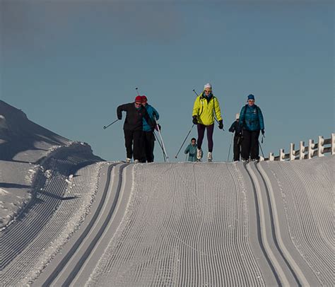 Snow Farm Ski Resort Guide | Snow-Forecast.com