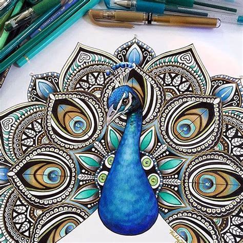 Peacock Drawing By Kellylahar