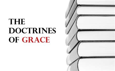 Doctrines of Grace - Collection of Essays | Monergism