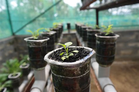 Hydroponics: A Better Way to Grow Food (U.S. National Park Service)