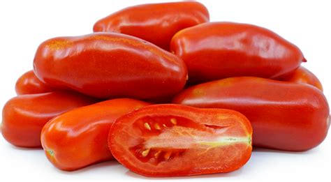 San Marzano Tomatoes Information and Facts