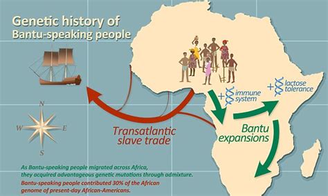 Genetic study reveals how Africans descended from a group | Daily Mail Online