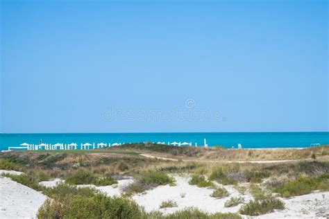 Saadiyat Public Beach, Saadiyat Island, Abu Dhabi, UAE Editorial Image - Image of nature ...