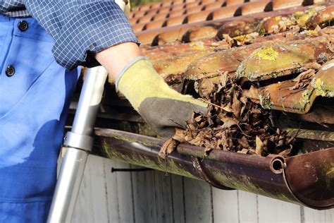 No Gutter Covers? Gutter Cleaning Tips from Kguard