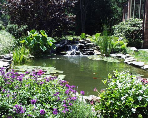 Our Pond Pond, Plants, Favorite, Water Pond, Plant, Garden Ponds, Planets