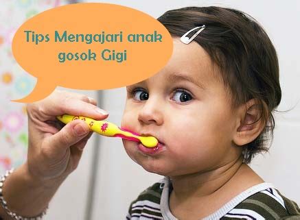 7 Cara Mengajari Anak Menggosok Gigi yang Benar - Dunia Ibu dan Anak